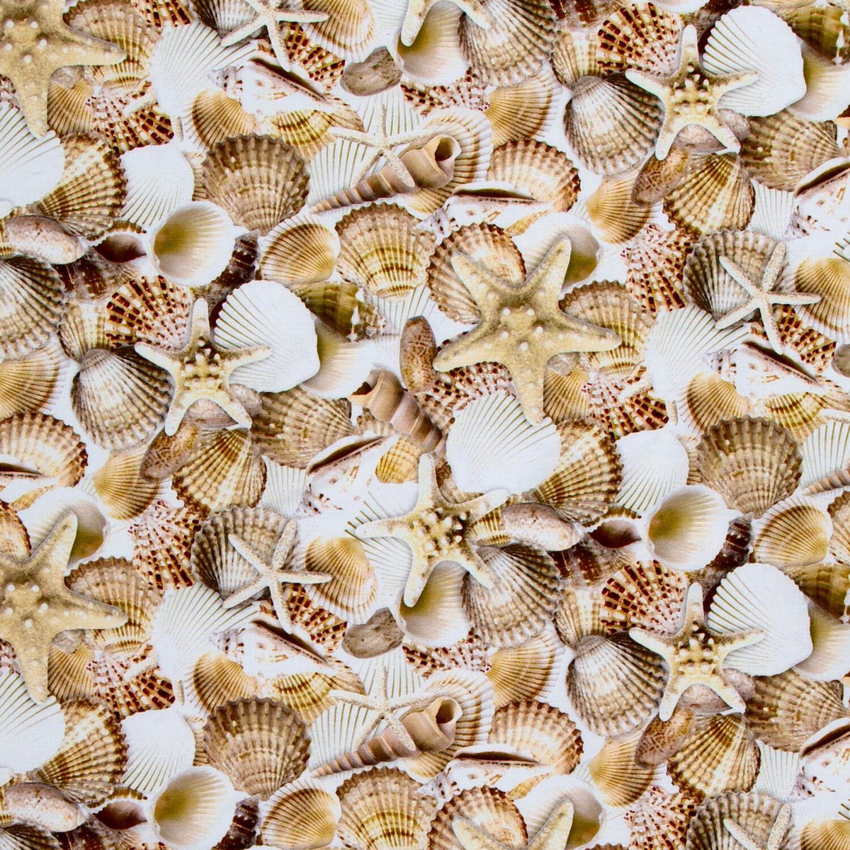 let-your-light-shine-packed-shells-shell-yardage
