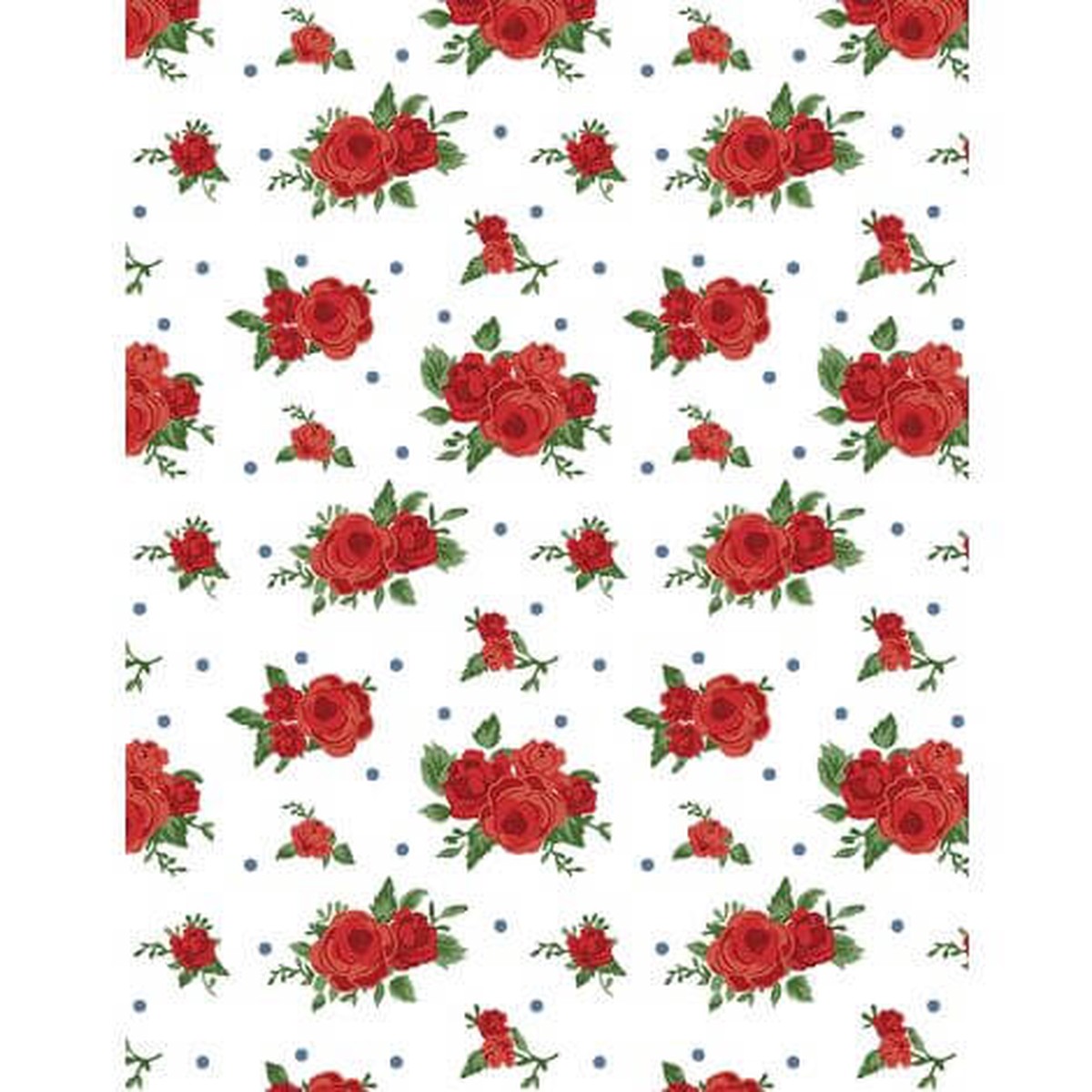 summertime-daydream-red-roses-white