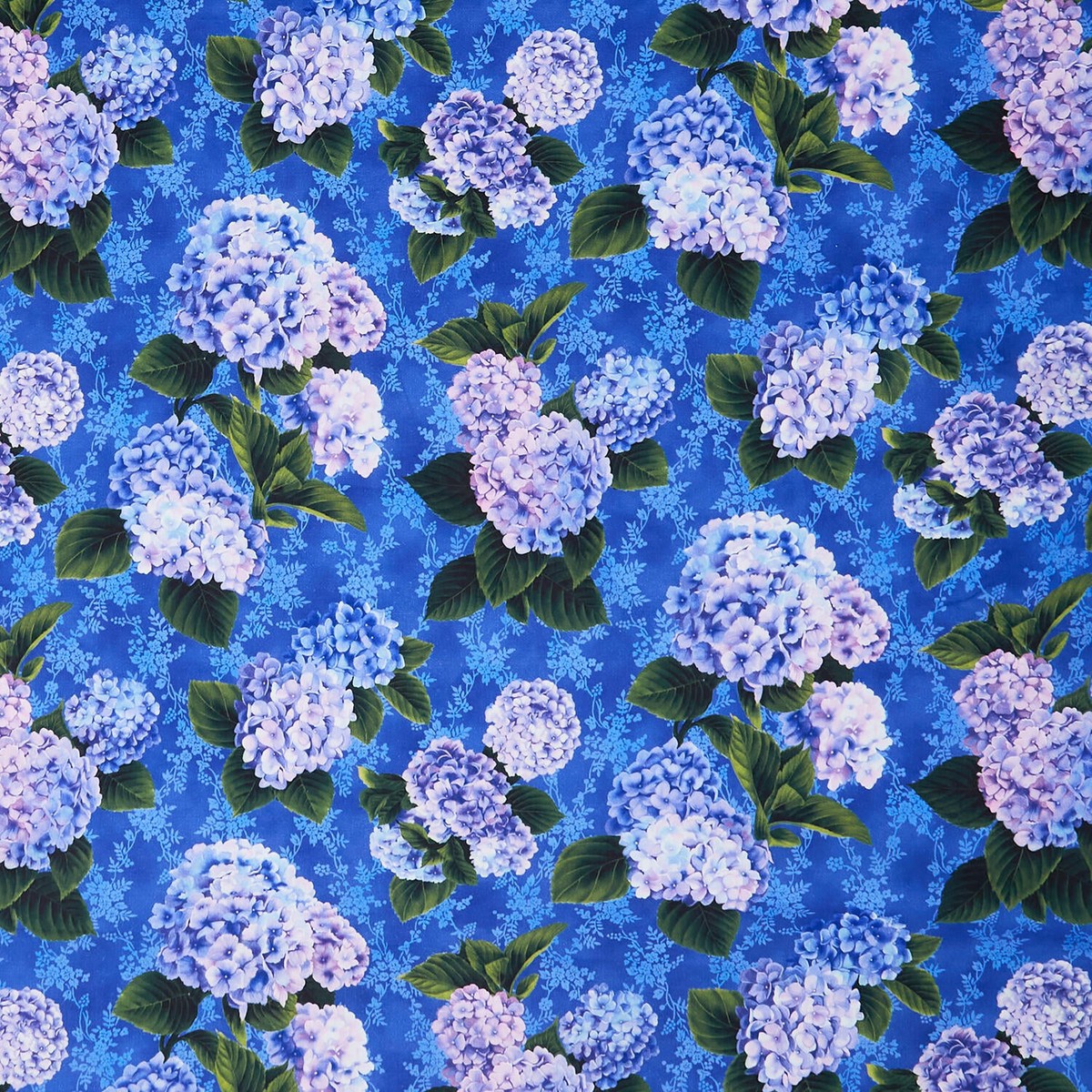 hydrangea-grace-hydrangeas-blue-yardage
